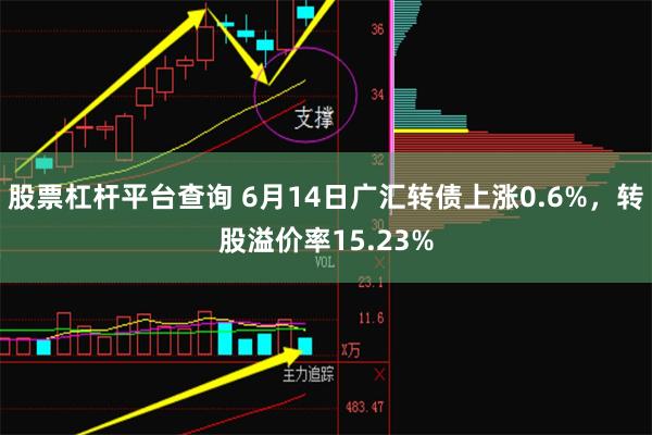 股票杠杆平台查询 6月14日广汇转债上涨0.6%，转股溢价率15.23%