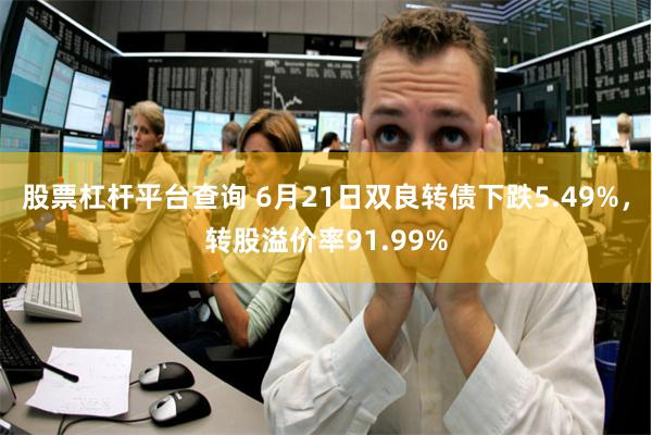 股票杠杆平台查询 6月21日双良转债下跌5.49%，转股溢价率91.99%